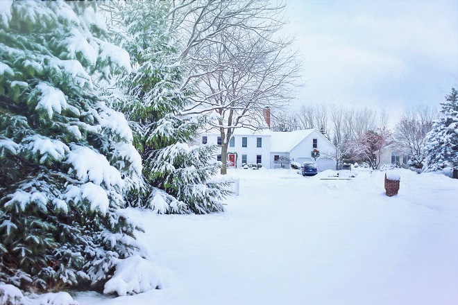 winter landscape