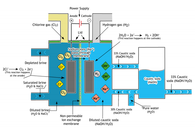 cell process