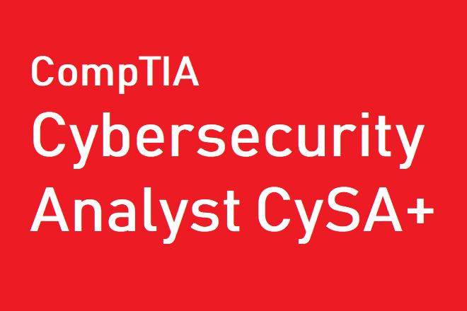 cybersecurity analyst