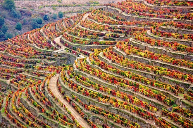 Douro Valley, Portugal