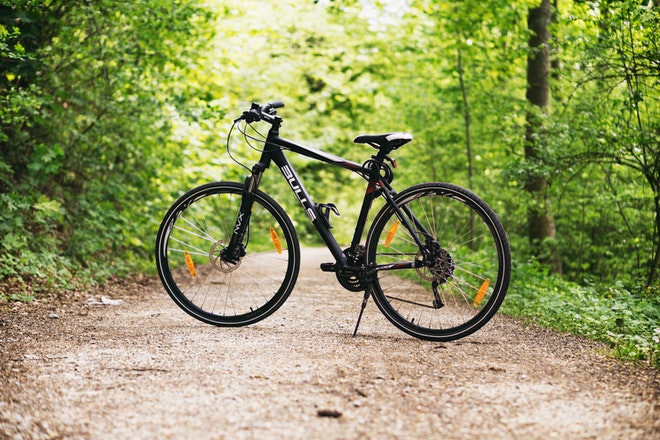 forest bike