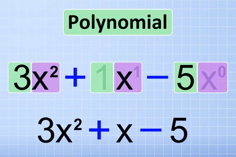 What is a Polynomial?