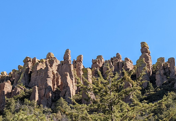 Chiricahua mountains