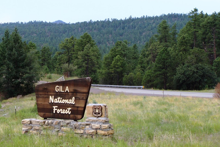 gila national forest