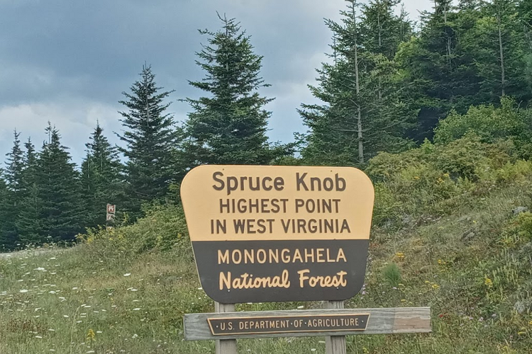 spruce knob