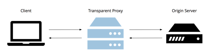 transparent proxy