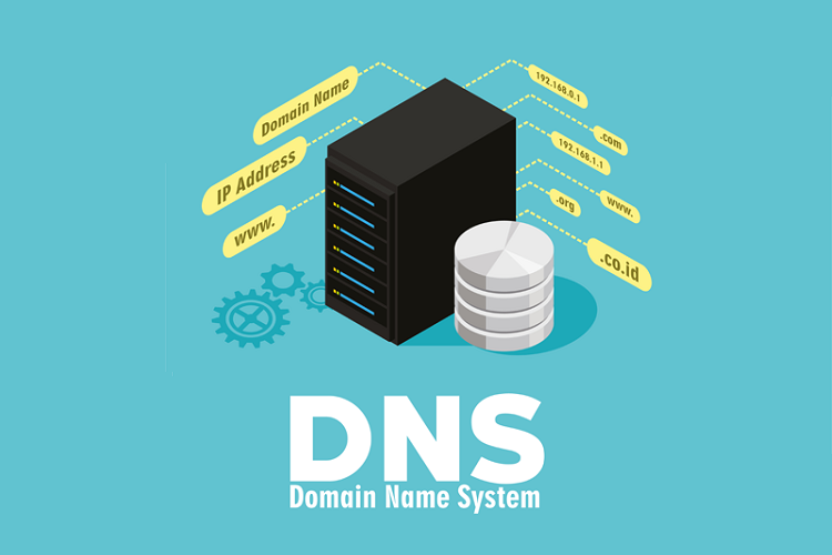 DNS servers