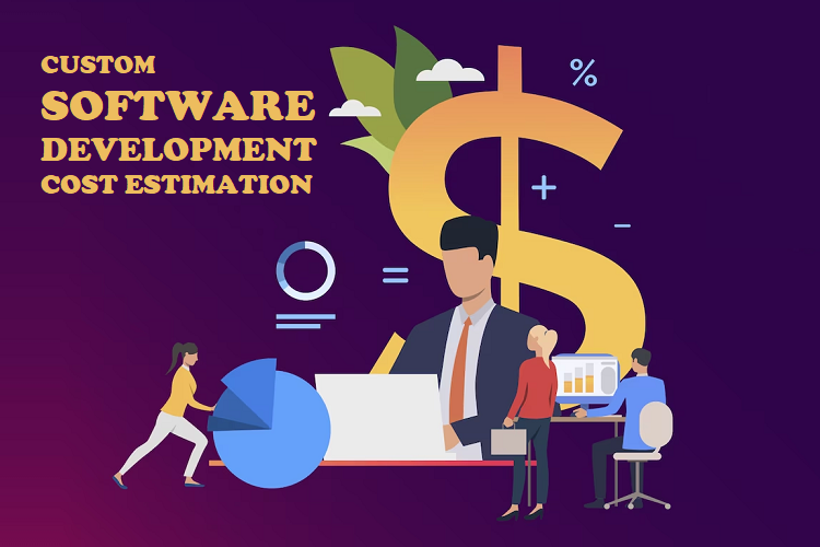 custom software development cost estimation